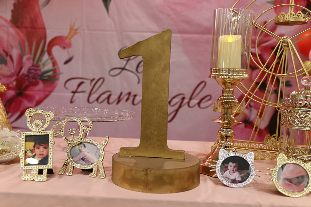 Hoorain 1st Flamingo Birthday